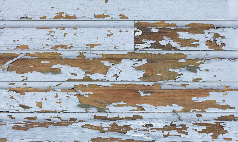 Lead Paint Remediation