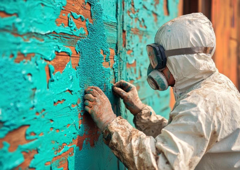 Lead Paint Remediation
