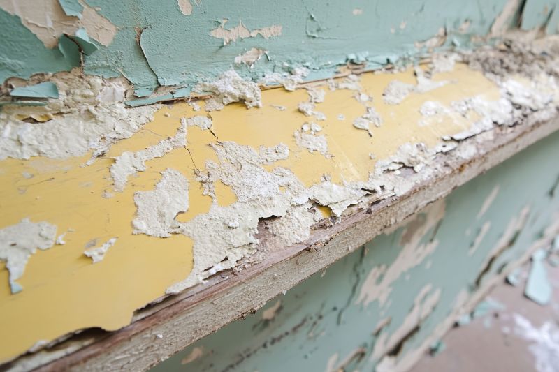 Lead Paint Remediation